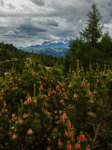 Hike 5 3581